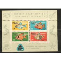 Бразилия-1969(Мих.Бл.24) , **  , Морская  Фауна, Рыбы