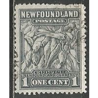 Ньюфаундленд. Промысел трески. 1932г. Mi#172.