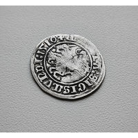 Полугрош 1510 г., Сигизмунд I Старый, Вильно, лот рп-7,15