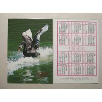 Карманный календарик. Лебедь. 1991 год