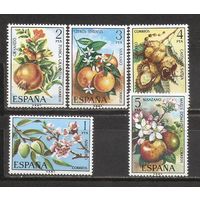 ФФ1 Испания Фрукты