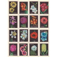 Спичечные этикетки. Сувенирный набор. Цветы