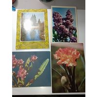 Открытки цветы , с рубля .