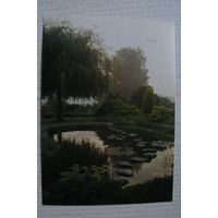 Природа; подписана, Германия, п/п ~1989, марки.