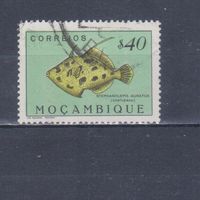 [886] Португальский Мозамбик 1951. Фауна.Рыба.0,40 э. Гашеная марка.