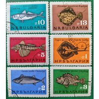 Болгария 1965. Фауна. Рыбы. Полная серия