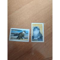 Аландские о-ва, марки с кошками.