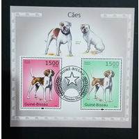 ФАУНА СОБАКИ ПОРОДЫ СОБАК ЖИВОТНЫЕ     БЛОК  сто