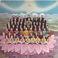 GEORGE HARRISON /Dark Horse/1974, EMI, LP, EX, Germany