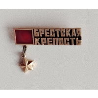 Брестская крепость. Т-9.