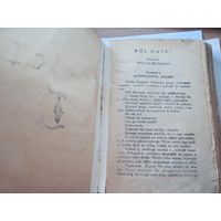 СТаринная книга на польском 1920-х годов,прижизненное издание Witold Gutowski (Витольд Гутовский) Bоl matki (Боль матери)