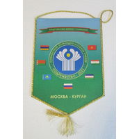 Вымпел. Совместное командно-штабное учение Содружество 2021