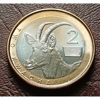 Замбия 2 квачи, 2024    ( 2-9-7 )