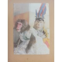 Календарь 1984/1