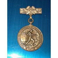Знак нагрудный за многолетнюю работу в шахте Польша