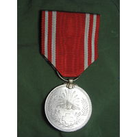 Япония, Медаль Красного Креста, Цинк