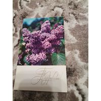 Открытка Поздравляю чистая 1973