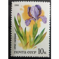 1986 Охраняемая флора степей СССР