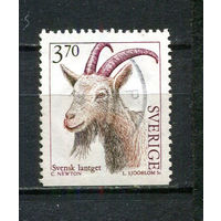 Швеция - 1995 - Фауна 3,70Kr - [Mi.1861] - 1 марка. Гашеная.  (Лот 6HT)-TG3P15