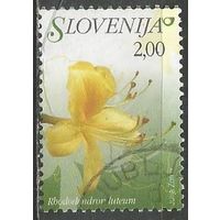Словения. Цветы. Рододендрон. 2007г. Mi#625.