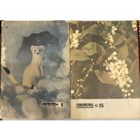 Юный натуралист 1976 #1,5