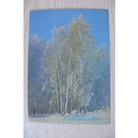 Богданов А., С Новым годом! 1988, чистая, ДМПК.