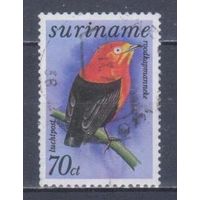 [823] Суринам 1977. Фауна.Птицы. Гашеная марка.