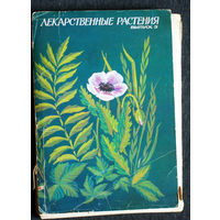 Лекарственные растения. Выпуск 5. 32 открытки
