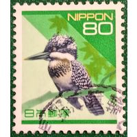 Япония. Фауна. Птицы