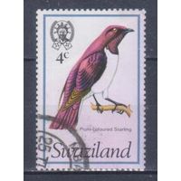 [161] Свазиленд 1976. Фауна.Птицы.Аметистовый скворец. Гашеная марка.