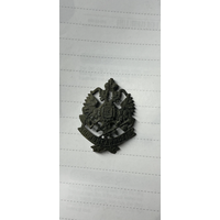 Кокарда ЖД РИА