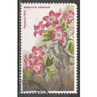 Кения. Цветы. Адениум тучный. 1983г. Mi#248.