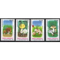 Турция 1995. Флора Грибы 4 марки (3063)