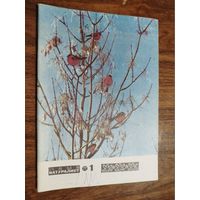 Юный натуралист 1977, вып. 1