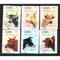 Домашний скот Куба 1973 год 6 марок