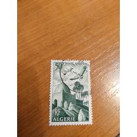 1949 французская колония Алжир фауна птицы архитектура (5-1)