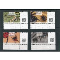 Польша. Фауна. Насекомые. Пауки