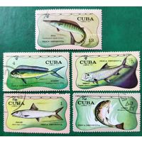 Куба 1971. Рыбы