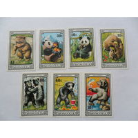 Монголия, мишки