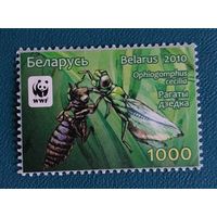 Беларусь 2010 Рогатый дедка