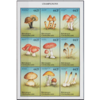 ЦАР Центральная Африканская Республика 1999 Грибы  MNH