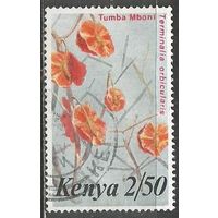Кения. Цветы. Терминалия. 1983г. Mi#249.