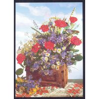 Беларусь 2003 ДМПК розы васильки лукошко