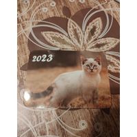 Календарик,котик,2023