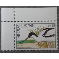 1989  Шилоклювка Сьерра -Леоне