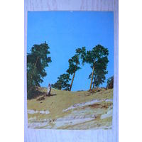 Прибалтика, Латвийская ССР, Дюны у Пабажи; чистая.