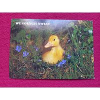 Счастливого Рождества! Польская открытка. Чистая.