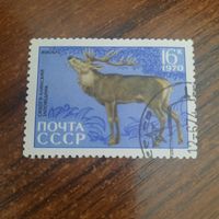 СССР 1970. Изюбрь. Марка из серии