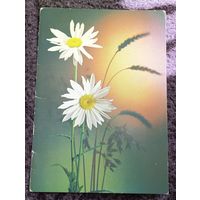 Поздравляю!