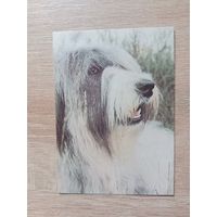 Календарик 1993